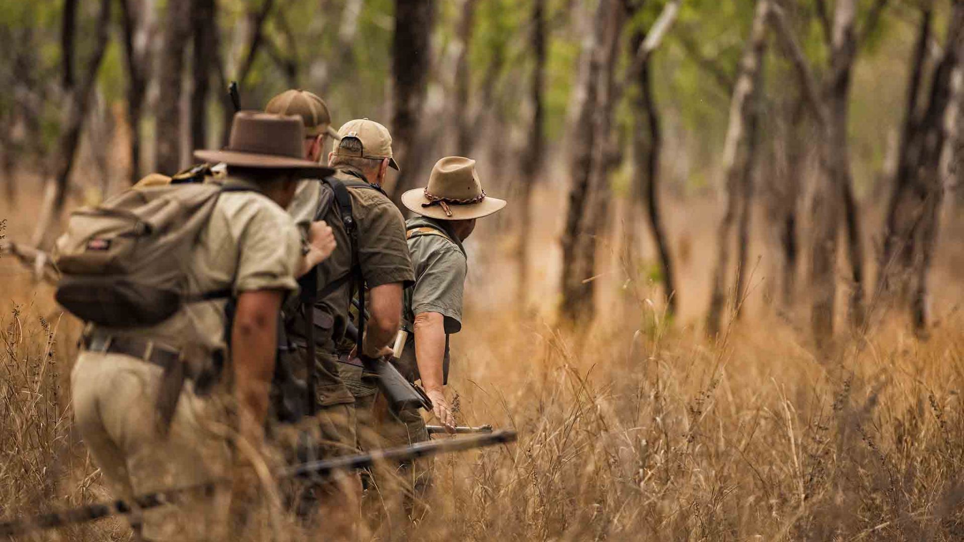 Hunting buffalo in Australia Hunting in Australia
