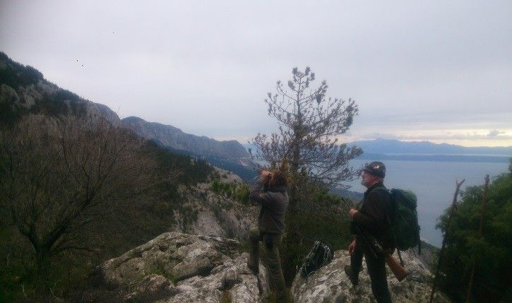Bear Hunting In Croatia Hunting Trips To Croatia