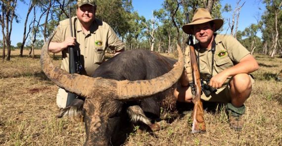 fad Tanke Jeg spiser morgenmad Hunting buffalo in Australia | Hunting in Australia