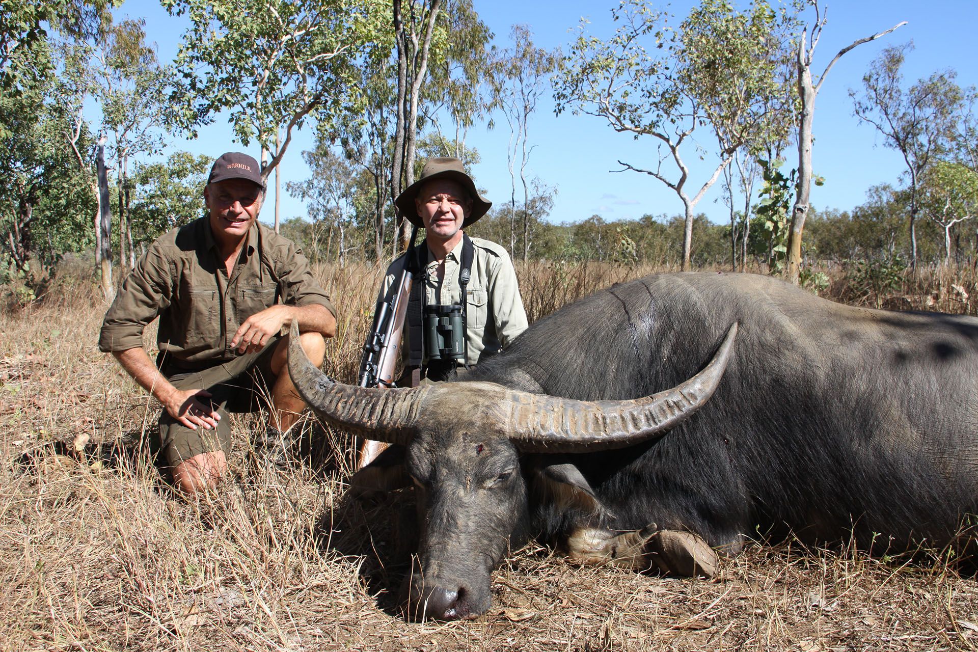 fad Tanke Jeg spiser morgenmad Hunting buffalo in Australia | Hunting in Australia