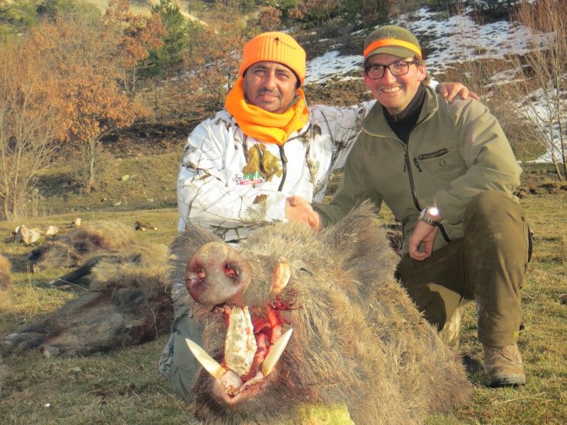 Driven hunt in Turkey  Exciting hunt in Turkey