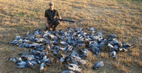 pigeon hunting in oxford hunting trip to england