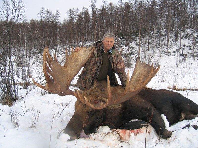 Bear Hunting Dog Pictures Bear Hunting Dog Pictures
