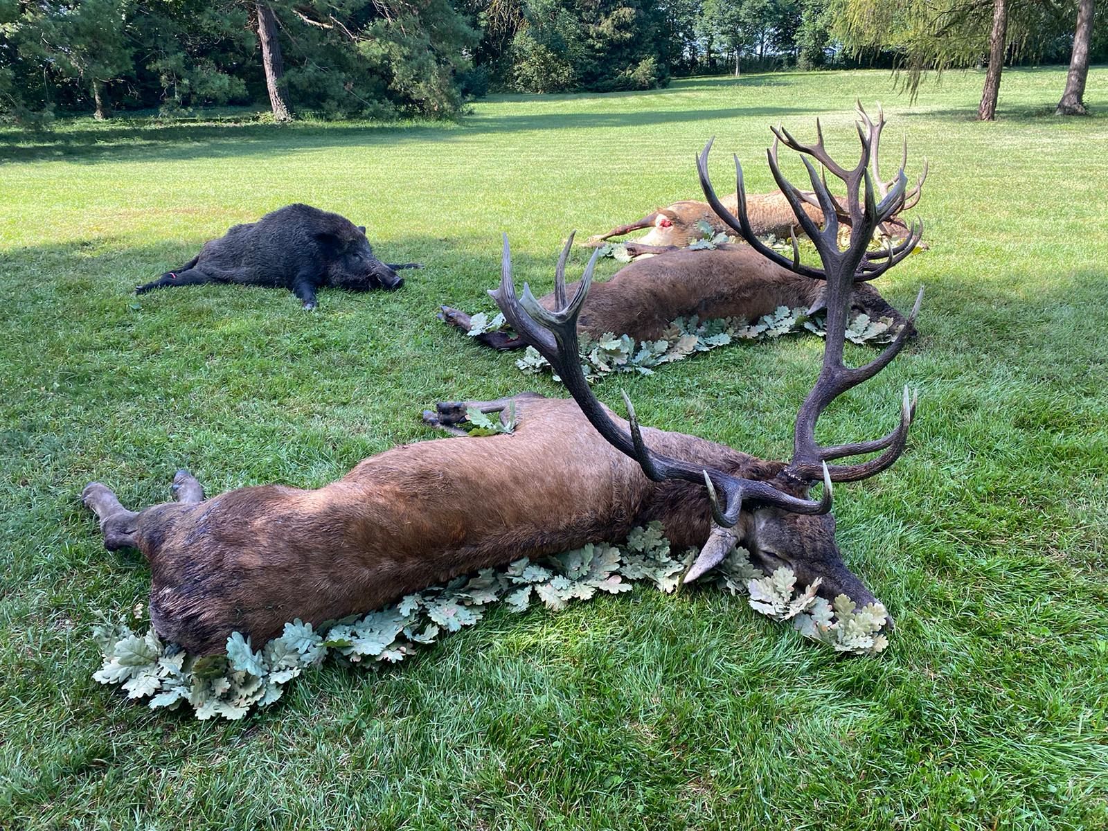 Large | hunting in Hungary