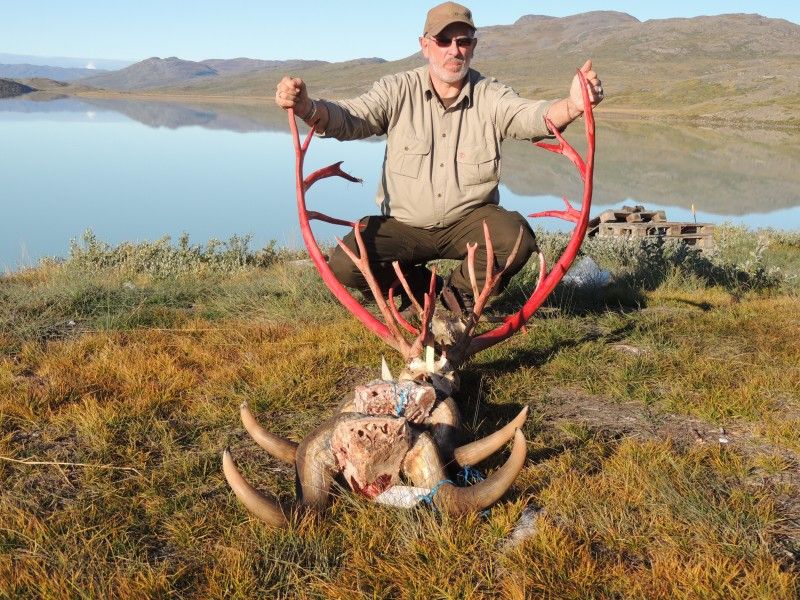 Hunting in Greenland Combination hunting in Greenland