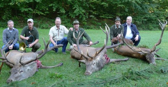 Big Red Stag Big Red Stag