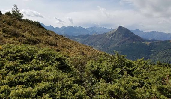 Hunting in France | Great hunting and lots of history
