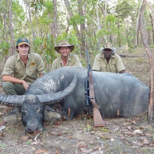 automat Forstyrret lov Australia Buffalo Hunters | Hunting in Australia