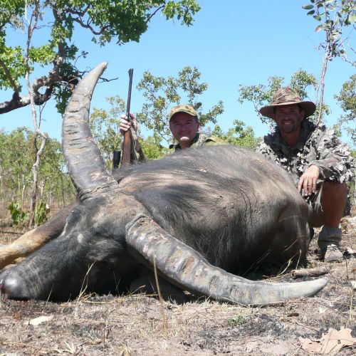 automat Forstyrret lov Australia Buffalo Hunters | Hunting in Australia