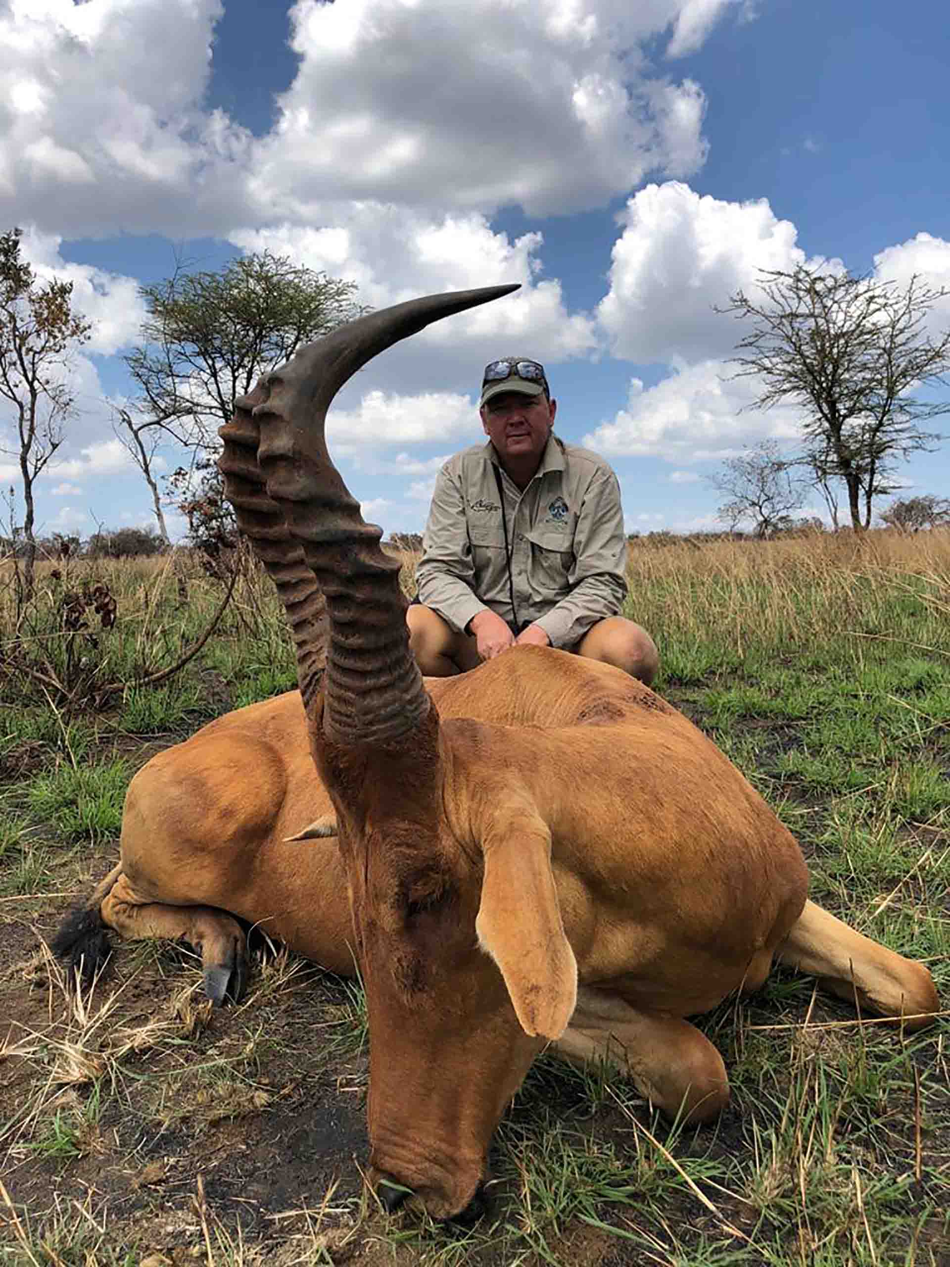 Latest hunting pictures - Nov 2018